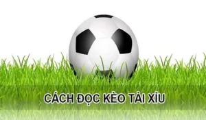 Tuyệt Chiêu Đánh Kèo Tài Xỉu Hiệp 1 Bất Bại Từ Chuyên Gia