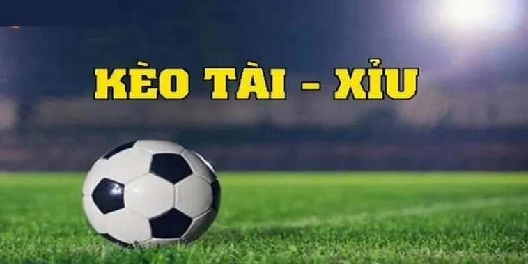 Cách Chơi Kèo Tài Xỉu Chuyên Nghiệp Với Tỷ Lệ Thắng Cao 2 Cách Chơi Kèo Tài Xỉu Chuyên Nghiệp Với Tỷ Lệ Thắng Cao