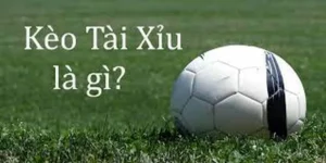 Cách Chơi Kèo Tài Xỉu Chuyên Nghiệp Với Tỷ Lệ Thắng Cao