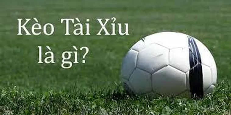 Cách Chơi Kèo Tài Xỉu Chuyên Nghiệp Với Tỷ Lệ Thắng Cao 1 Cách Chơi Kèo Tài Xỉu Chuyên Nghiệp Với Tỷ Lệ Thắng Cao